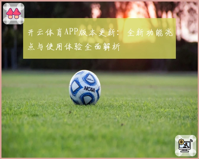 开云体育APP版本更新：全新功能亮点与使用体验全面解析