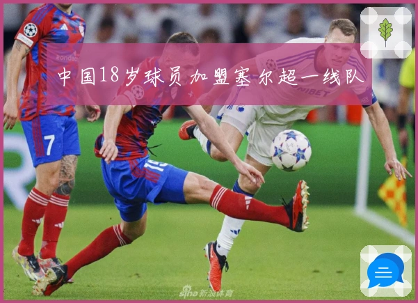 中国18岁球员加盟塞尔超一线队