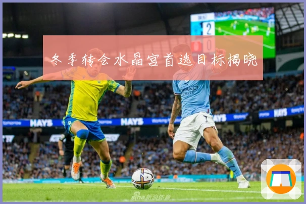 冬季转会水晶宫首选目标揭晓