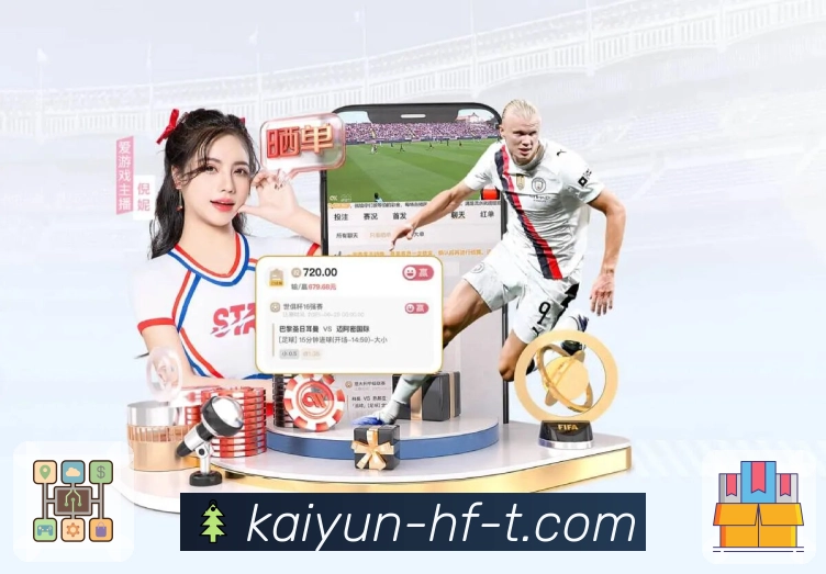 稳定访问登录器